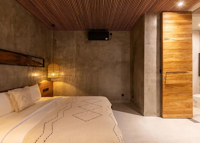 10 Mins To - Brand New 1 Bd W/pool + Netflix Villa Canggu